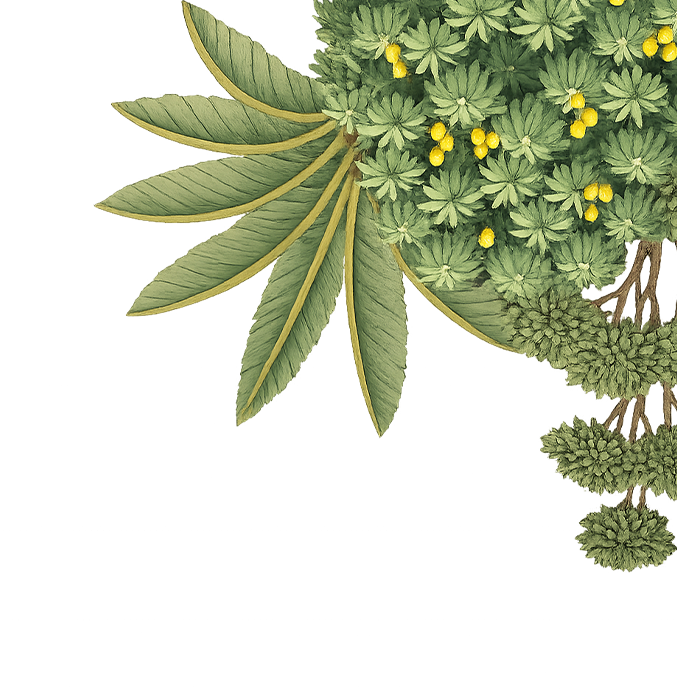 top-right-tree-wedding